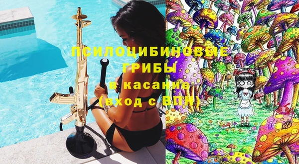 PSILOCYBIN Верхний Тагил